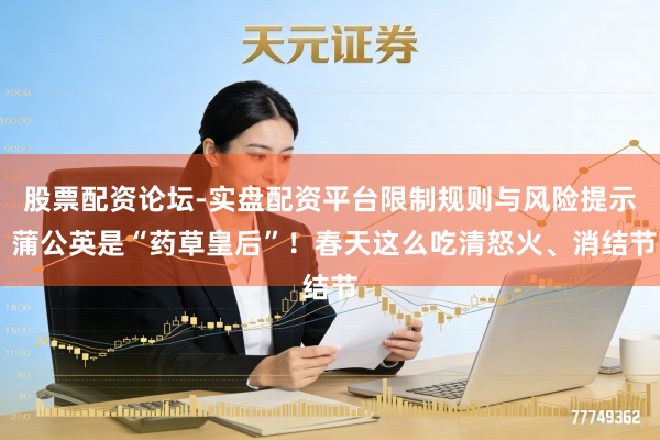股票配资论坛-实盘配资平台限制规则与风险提示 蒲公英是“药草皇后”!春天这么吃清怒火、消结节