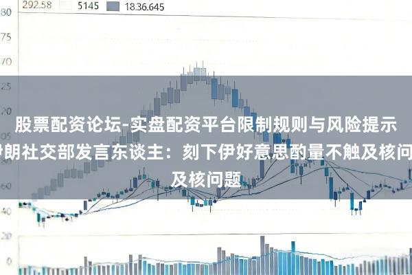 股票配资论坛-实盘配资平台限制规则与风险提示 伊朗社交部发言东谈主：刻下伊好意思酌量不触及核问题