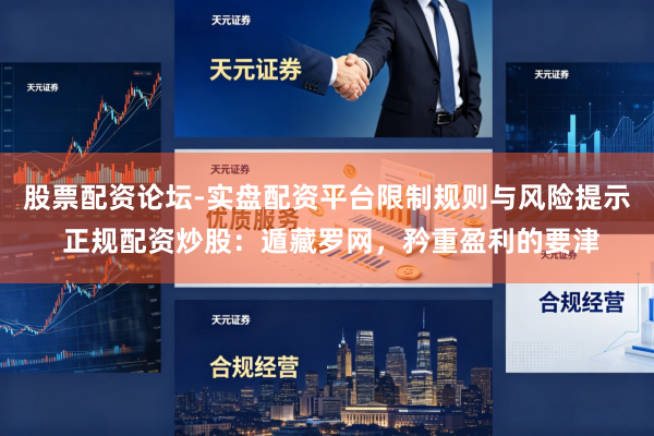 股票配资论坛-实盘配资平台限制规则与风险提示 正规配资炒股：遁藏罗网，矜重盈利的要津